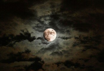 The moon