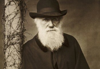 Darwin and Darwinism